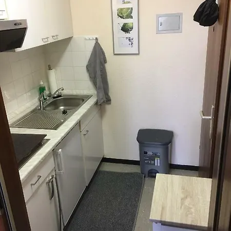 Schwarzwald-apartment Apartment Schönwalde