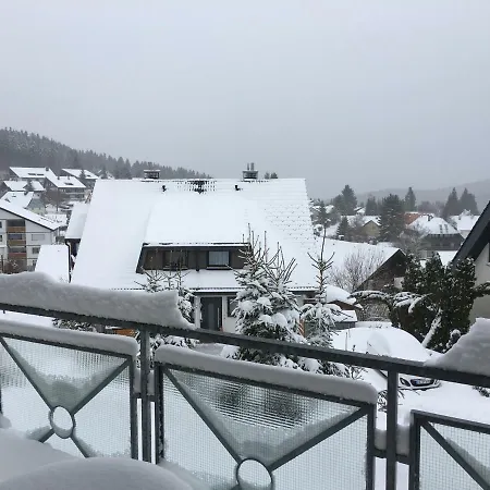 Schwarzwald-apartment Apartment *